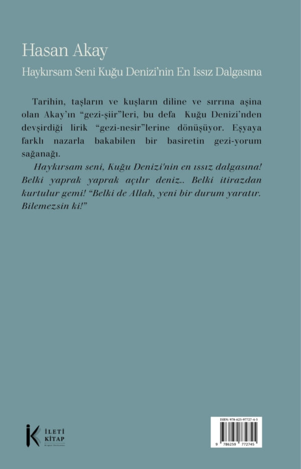 Haykırsam Seni Kuğu Denizi'nin En Issız Dalgasına
